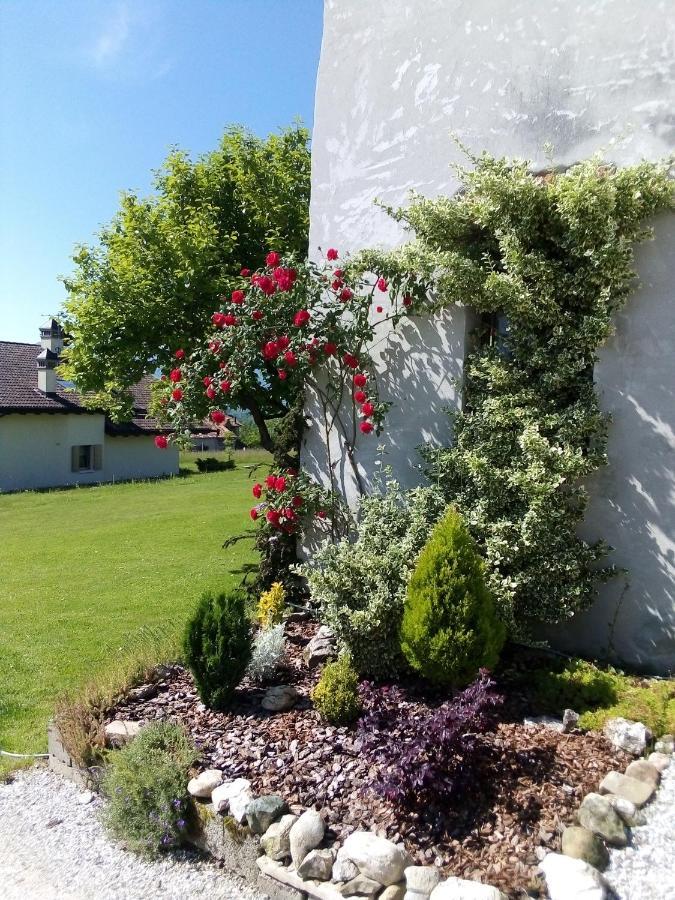 B&B La Casa Di Loretta Paderno Exterior foto